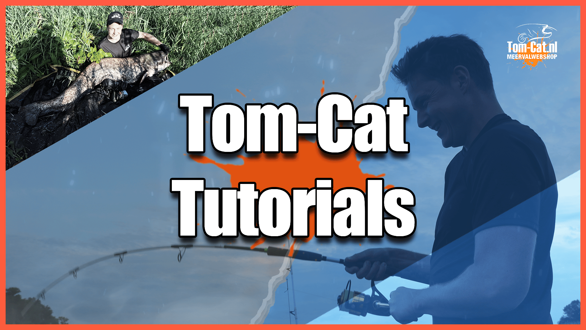 Tom-Cat Tutorials thumbnail