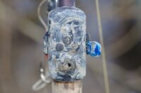 Catsounder XRS 4+1 Carp Sounder