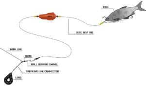 Black cat Dead bait rig