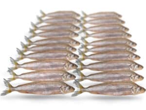 Prebaits Spiering Klein - Vacuüm verpakt 120 Gram