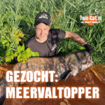 Vacature meervaltopper Tom-Cat