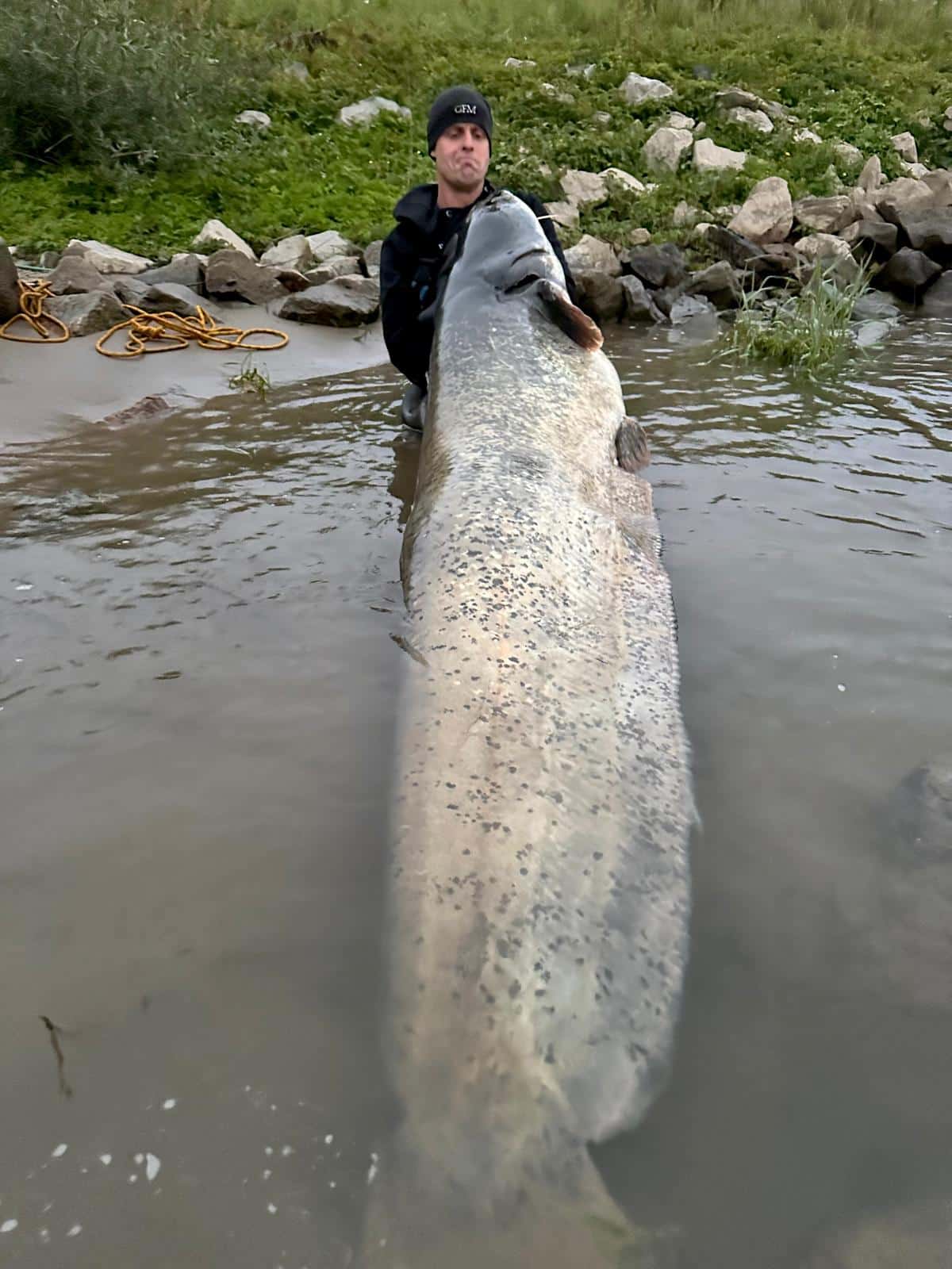 Paul Breems met nieuw BeNeLux Meerval Record