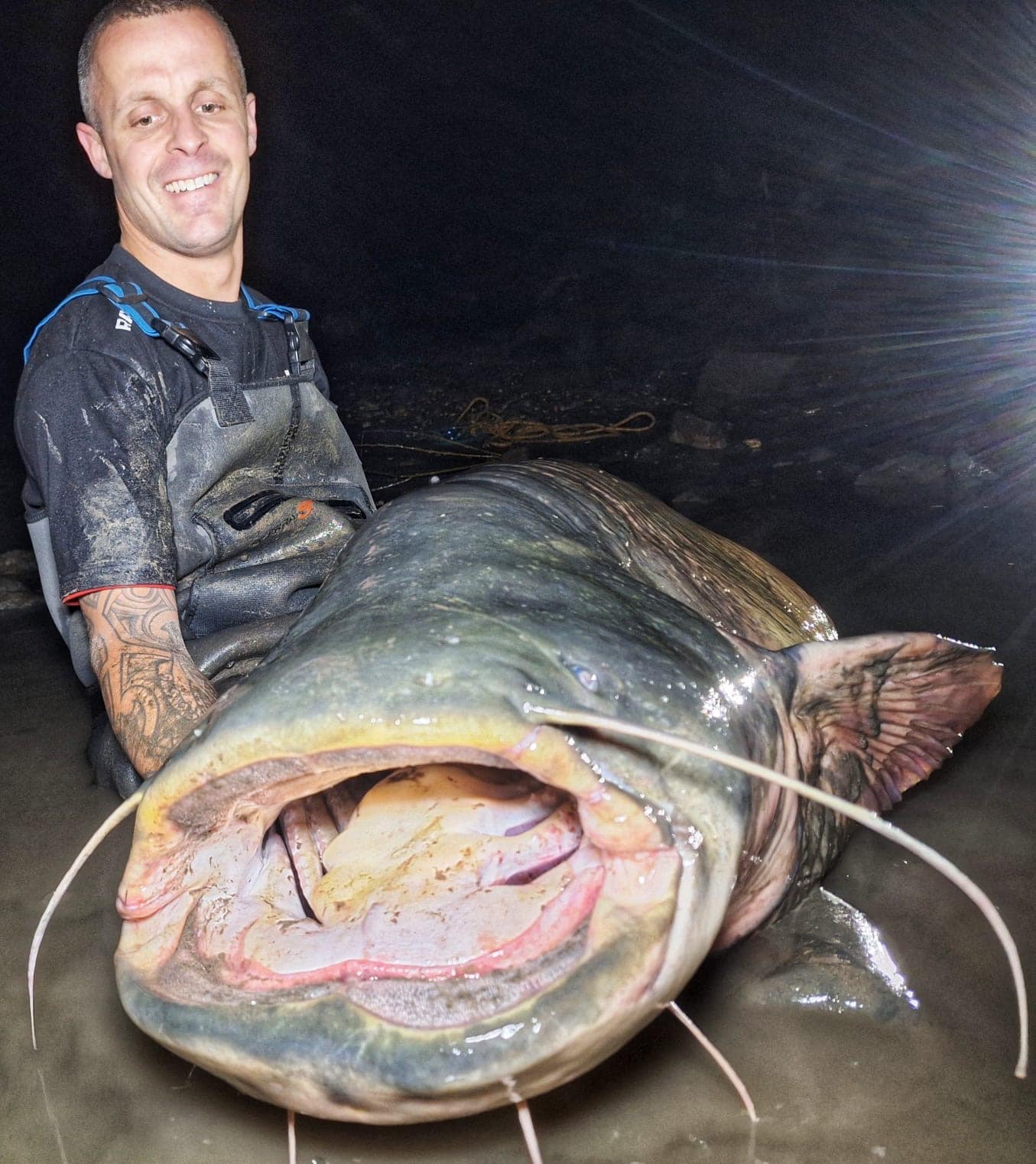 BeNeLux record 243