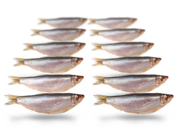 Prebaits Sprot - Vacuüm verpakt 200 Gram