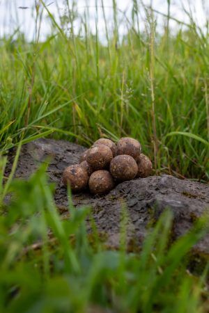 Pure Silure Organ-Kadaver Boilies 24mm 5kg