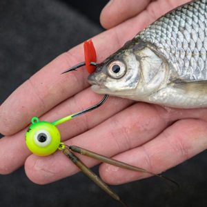 Zebco DB Serie Bait Holding Flags