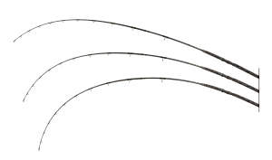 Zeck Pro-Cat 300cm |400g