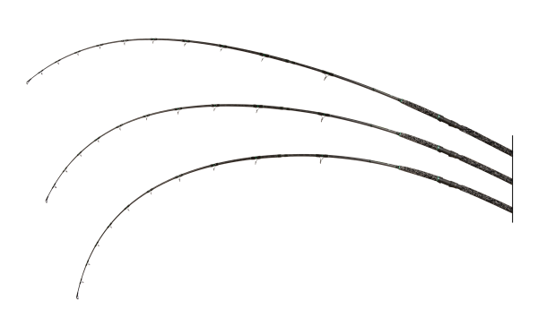 Zeck Pro-Cat 300cm |400g