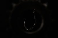 BKK Beastly Cat 7/0 5 pcs