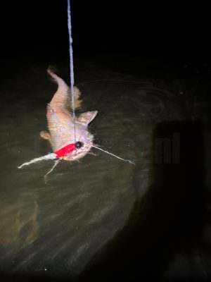 Erpo Softbaits Red Head Paddle 27cm