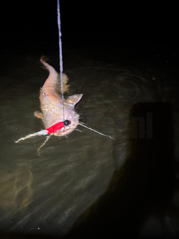 Erpo Softbaits Red Head Paddle 27cm