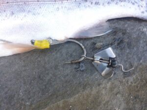 Black Cat Buzzer-Hook DG 5/0 Zilver